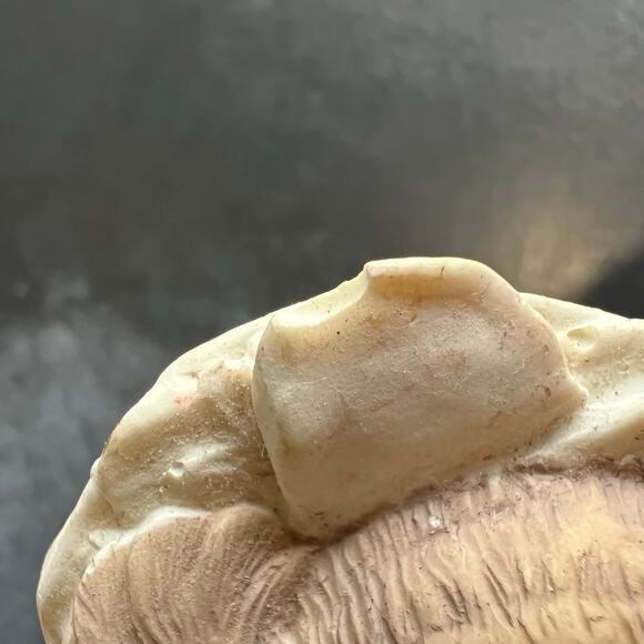 Vintage Holiday Walrus Christmas Ornament  Resin - Picture 7 of 8